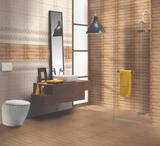 Your Dream Bathroom is Just a Read Away