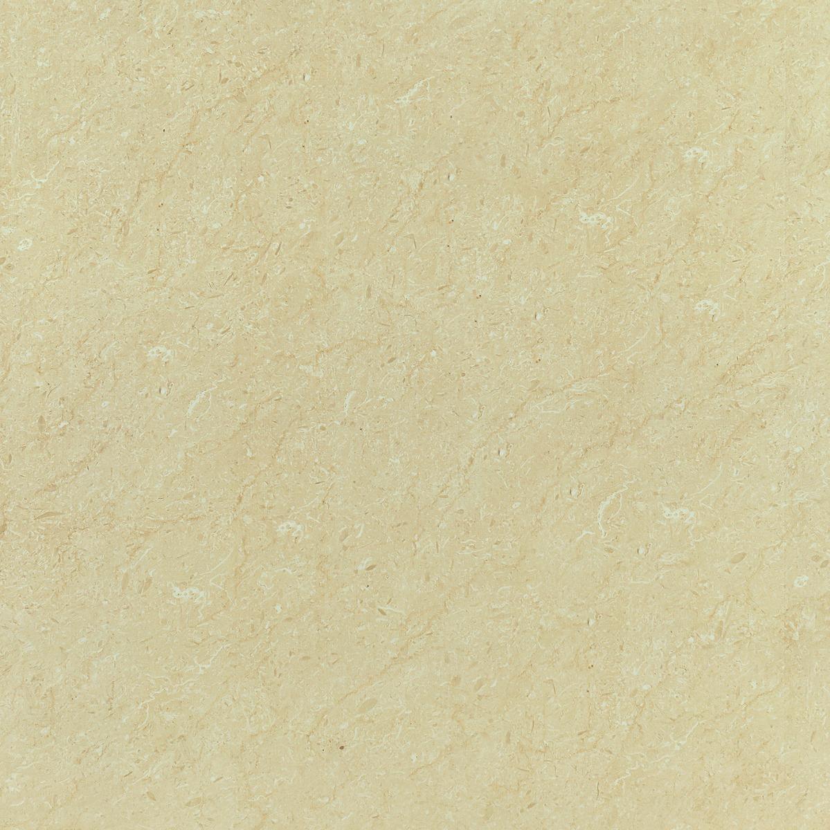 GFT BDM Franjo Ivory FT 