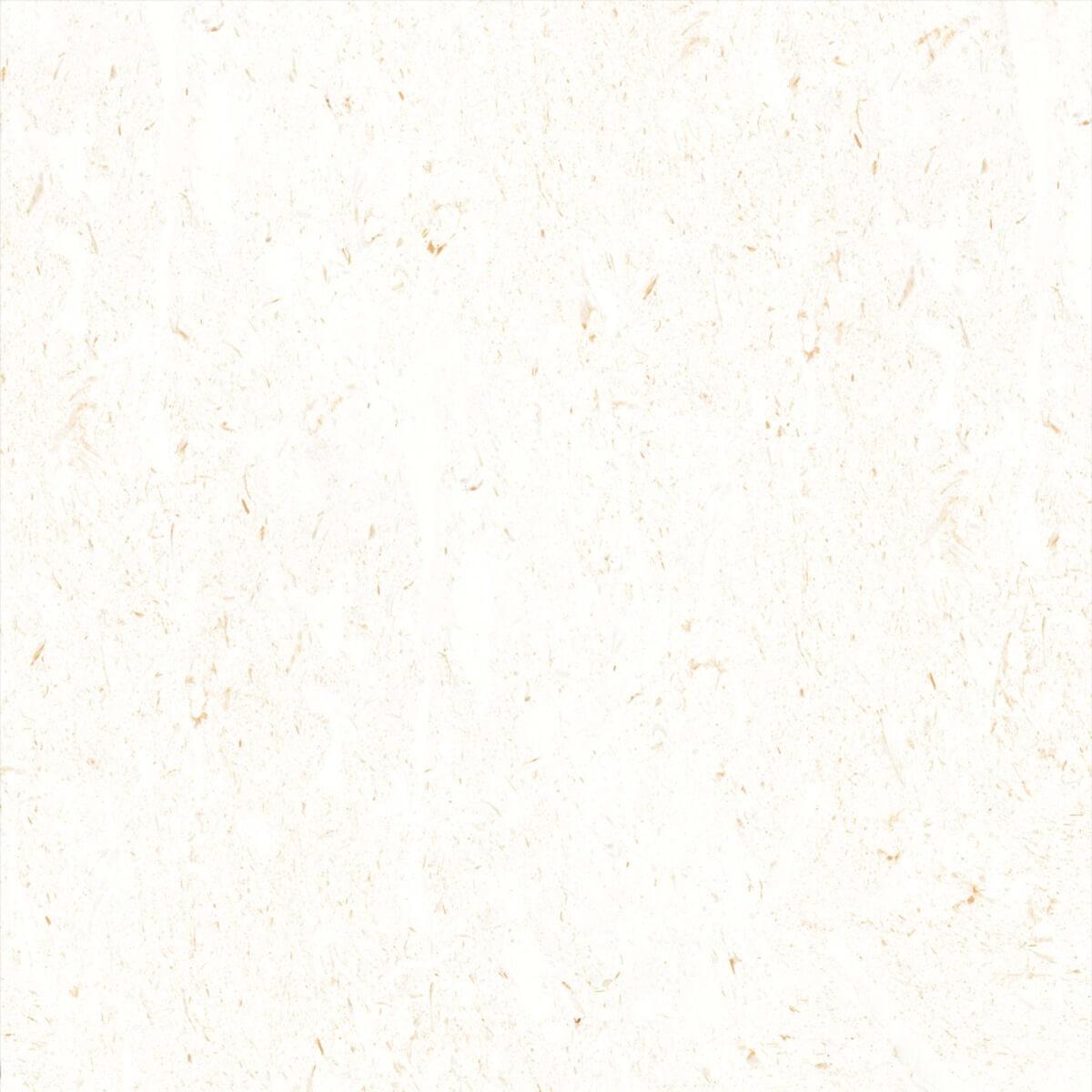 DGVT Genesis Bianco