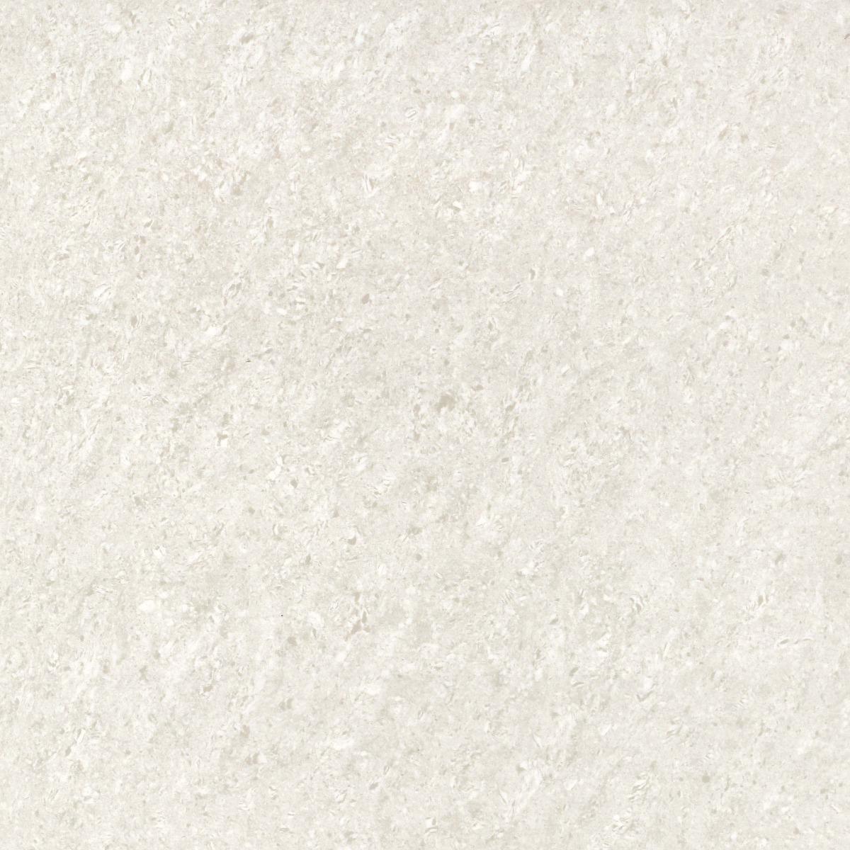 DGVT NEXA Star White