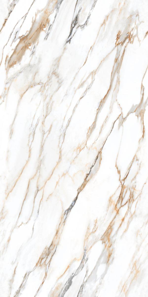 DR Carving Colour Calacutta Marble