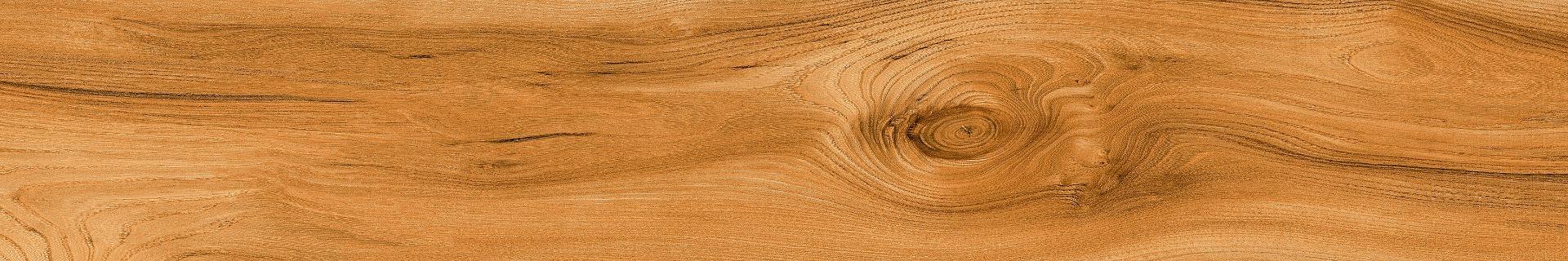 DR DGVT Larch  Wood Honey