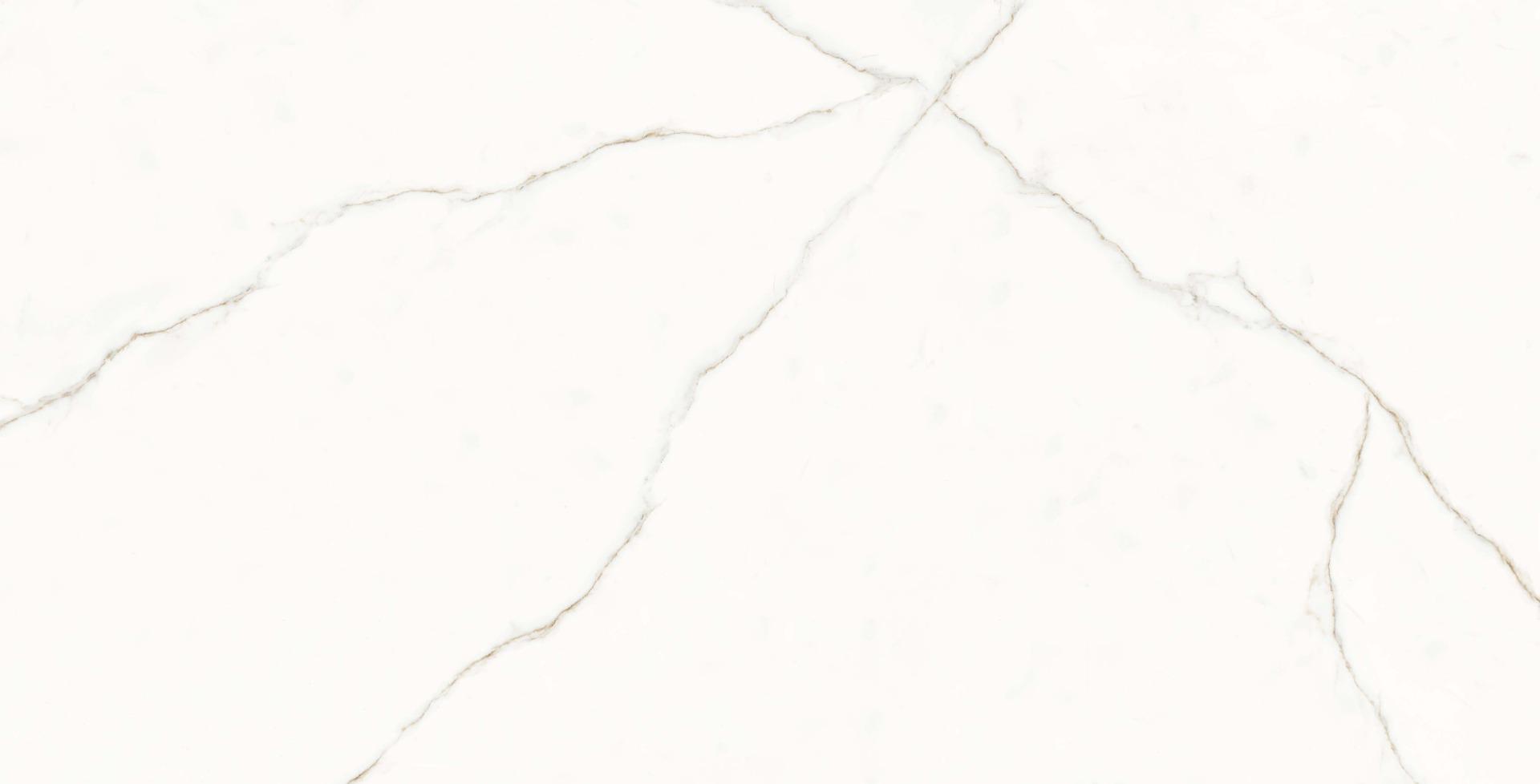 DR PGVT Calcutta Gold Veins Marble