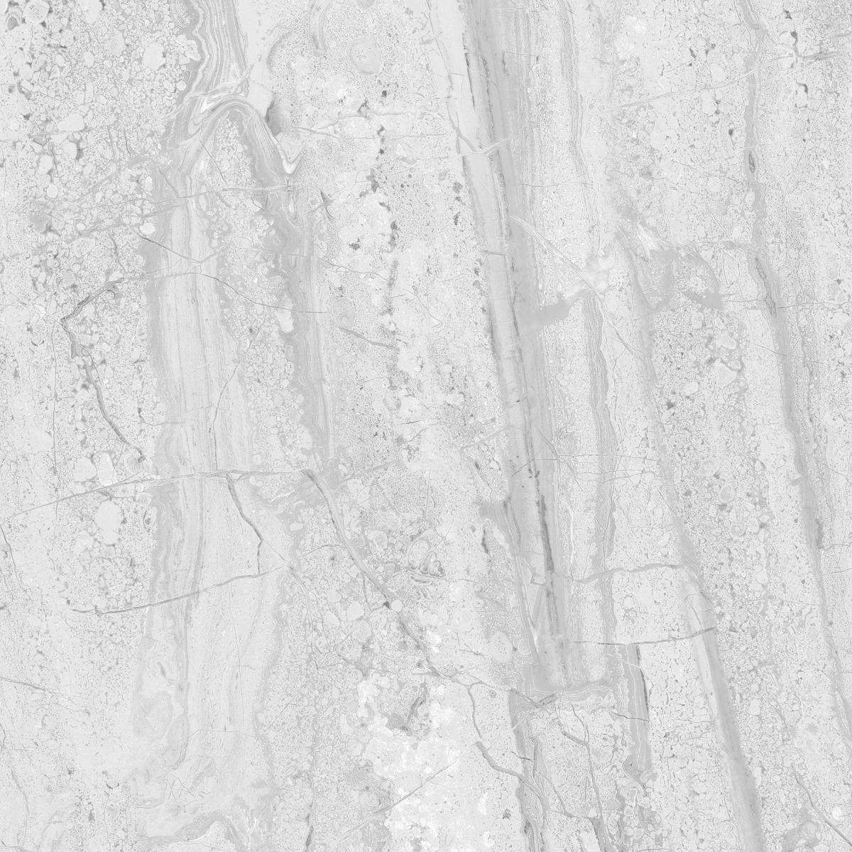 GFT BDF Royal Dyna Grey FT