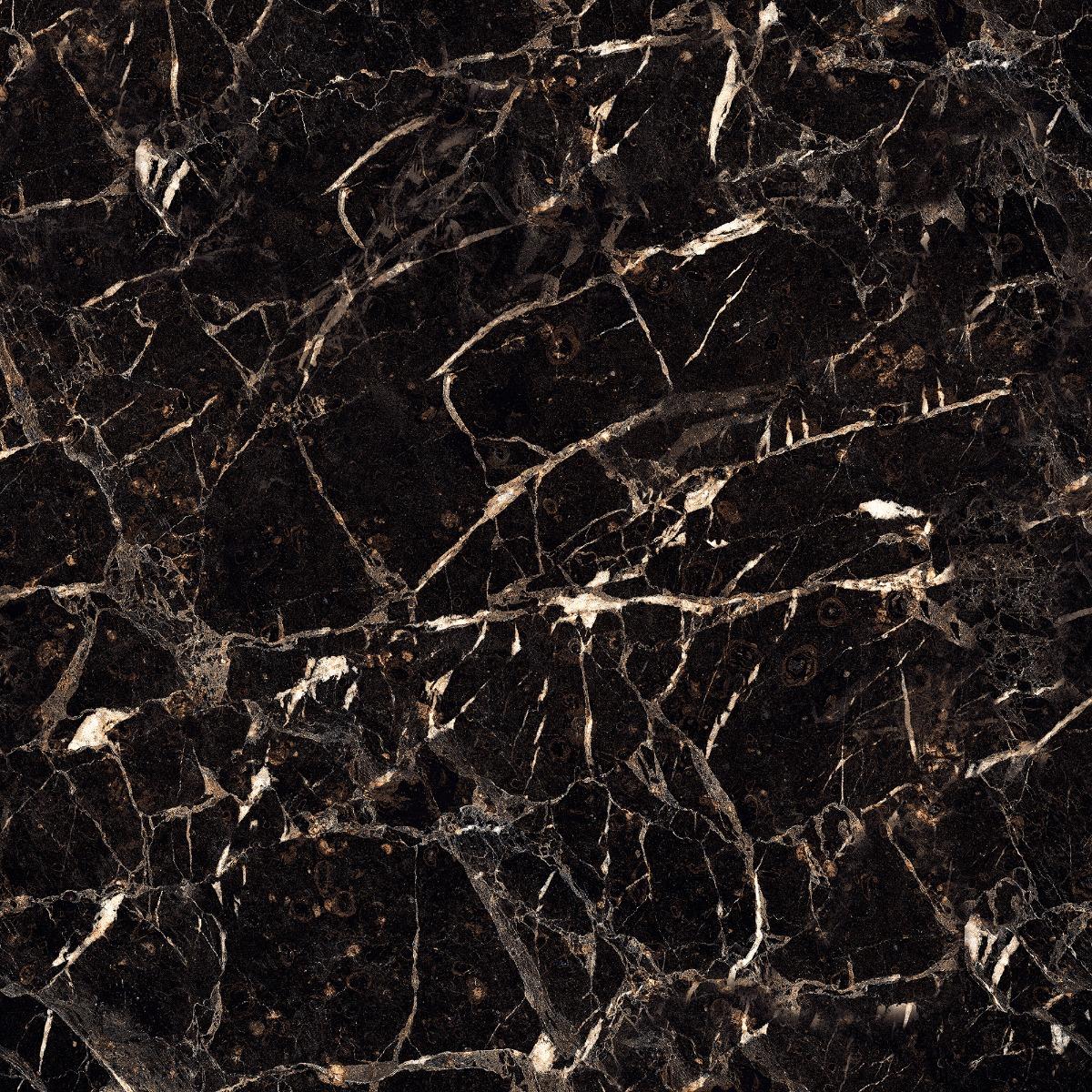 PCG Spider Black Granite