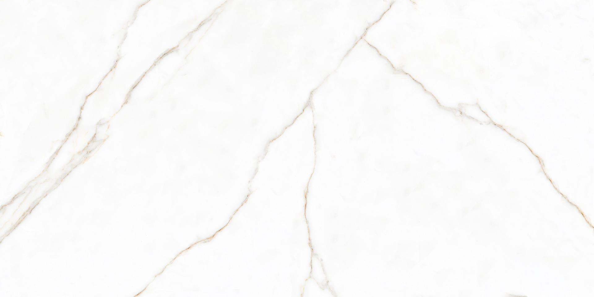 PGVT Calcutta Gold Veins Marble