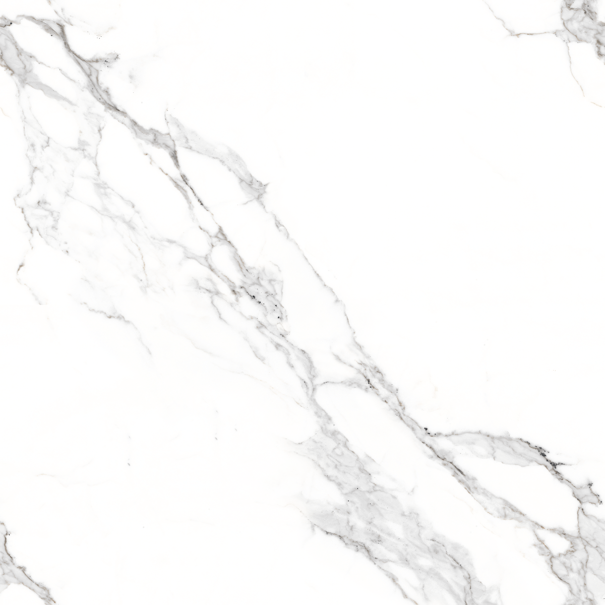 PGVT Elegant Statuario