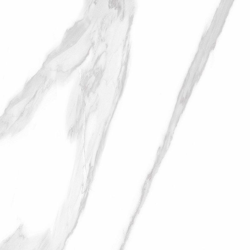 PGVT-S Statuario Special