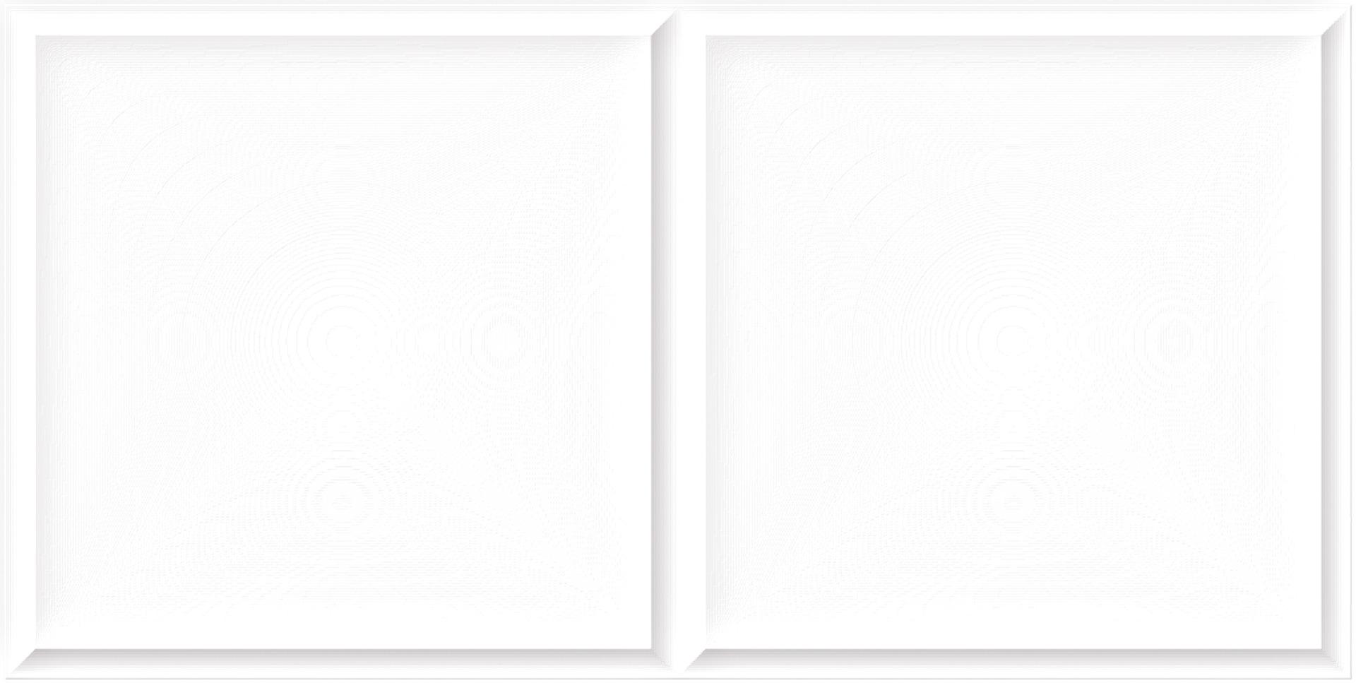 SBG Frame Plain White