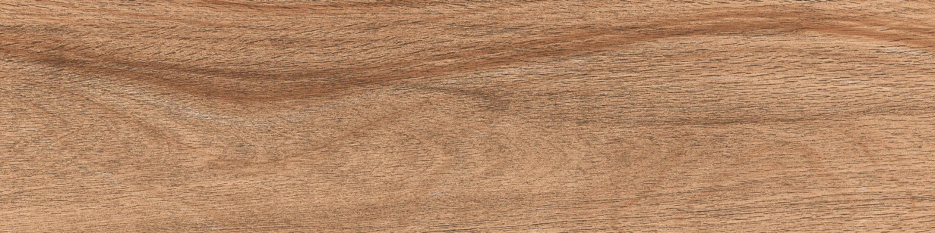 Matte Finish DGVT Arizon Wood Brown Vitrified tile 145x600 mm