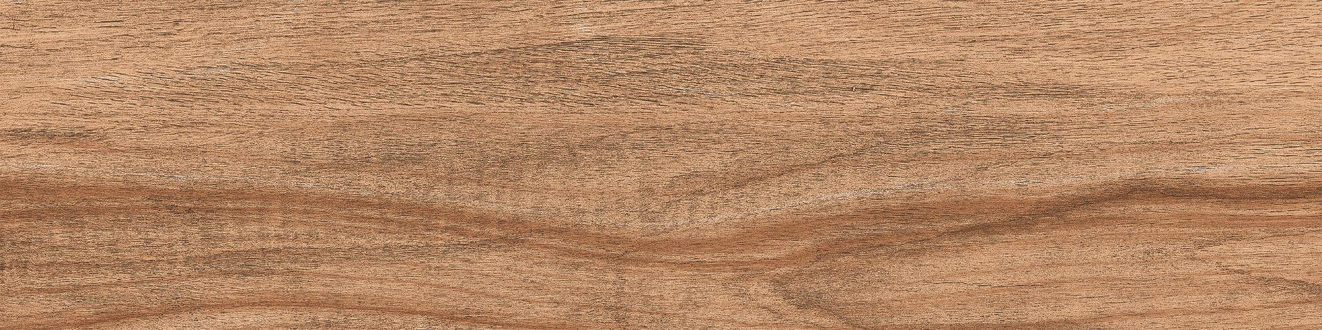 Matte Finish DGVT Arizon Wood Brown Vitrified tile 145x600 mm