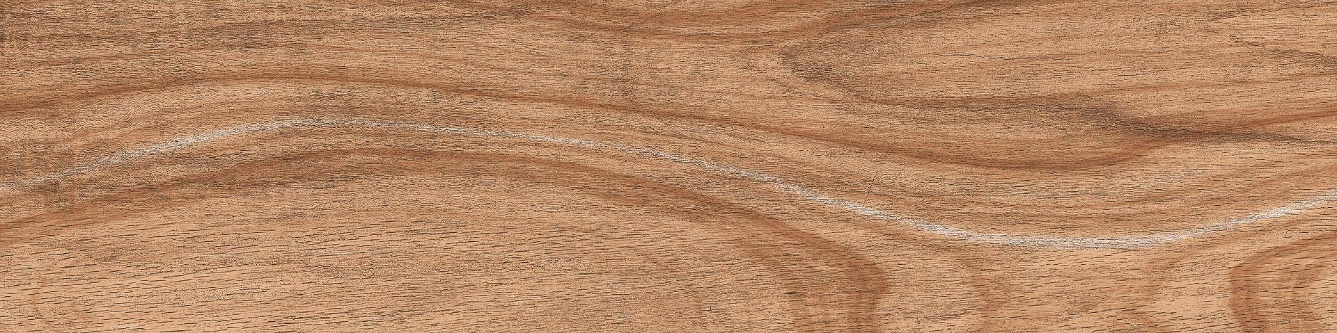 Matte Finish DGVT Arizon Wood Brown Vitrified tile 145x600 mm
