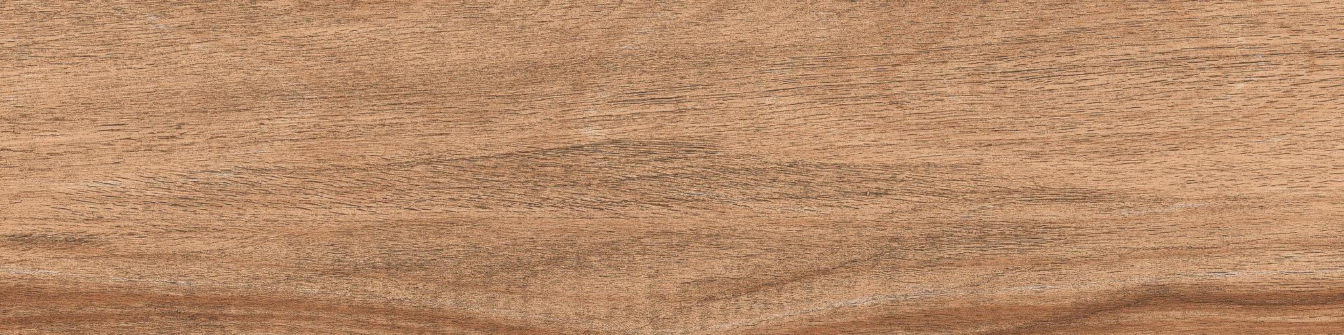 Buy 145x600 DGVT Arizon Wood Brown Online | Orientbell Tiles