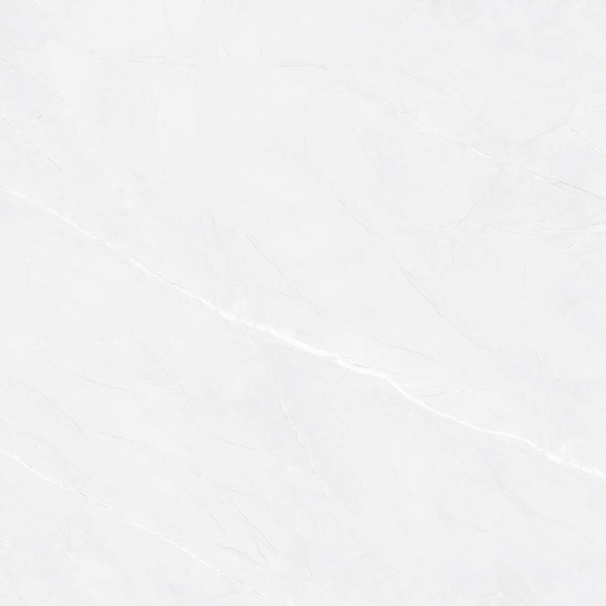 Matte Finish BDF Silver Armani Marble FT Forever tile 600x600 mm