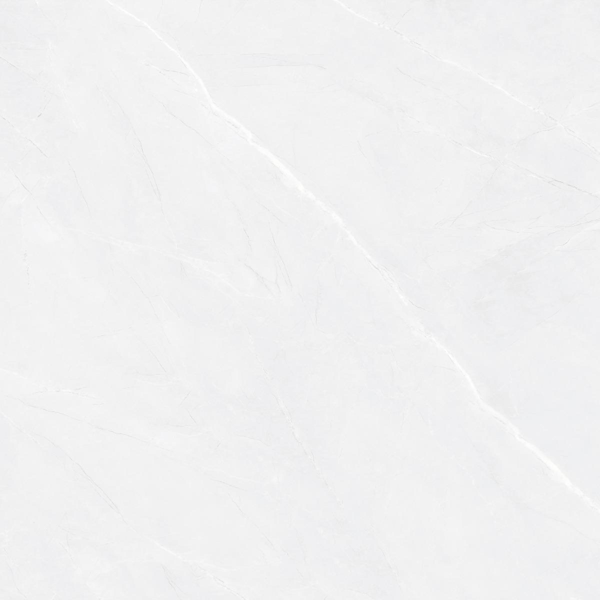 Matte Finish BDF Silver Armani Marble FT Forever tile 600x600 mm