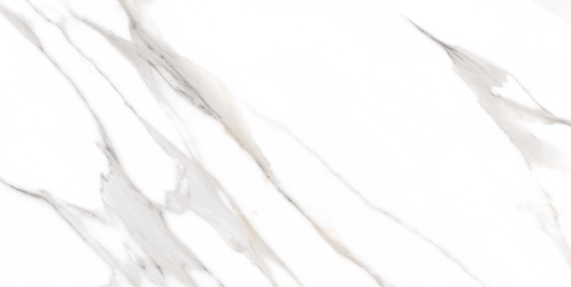 Matte Finish Carrara Luxe White Silktouch Vitrified tile 600x1200 mm