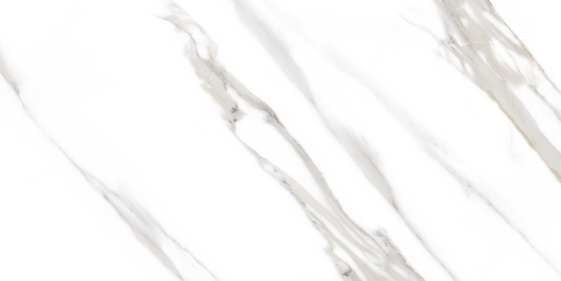 Glossy Finish Carrara Luxe White Gloss Glazed Vitrified Tiles 600x1200 mm