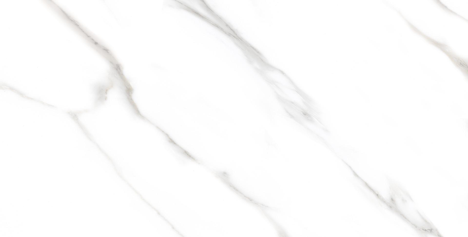 Glossy Finish Carrara Luxe White Gloss Glazed Vitrified Tiles 600x1200 mm