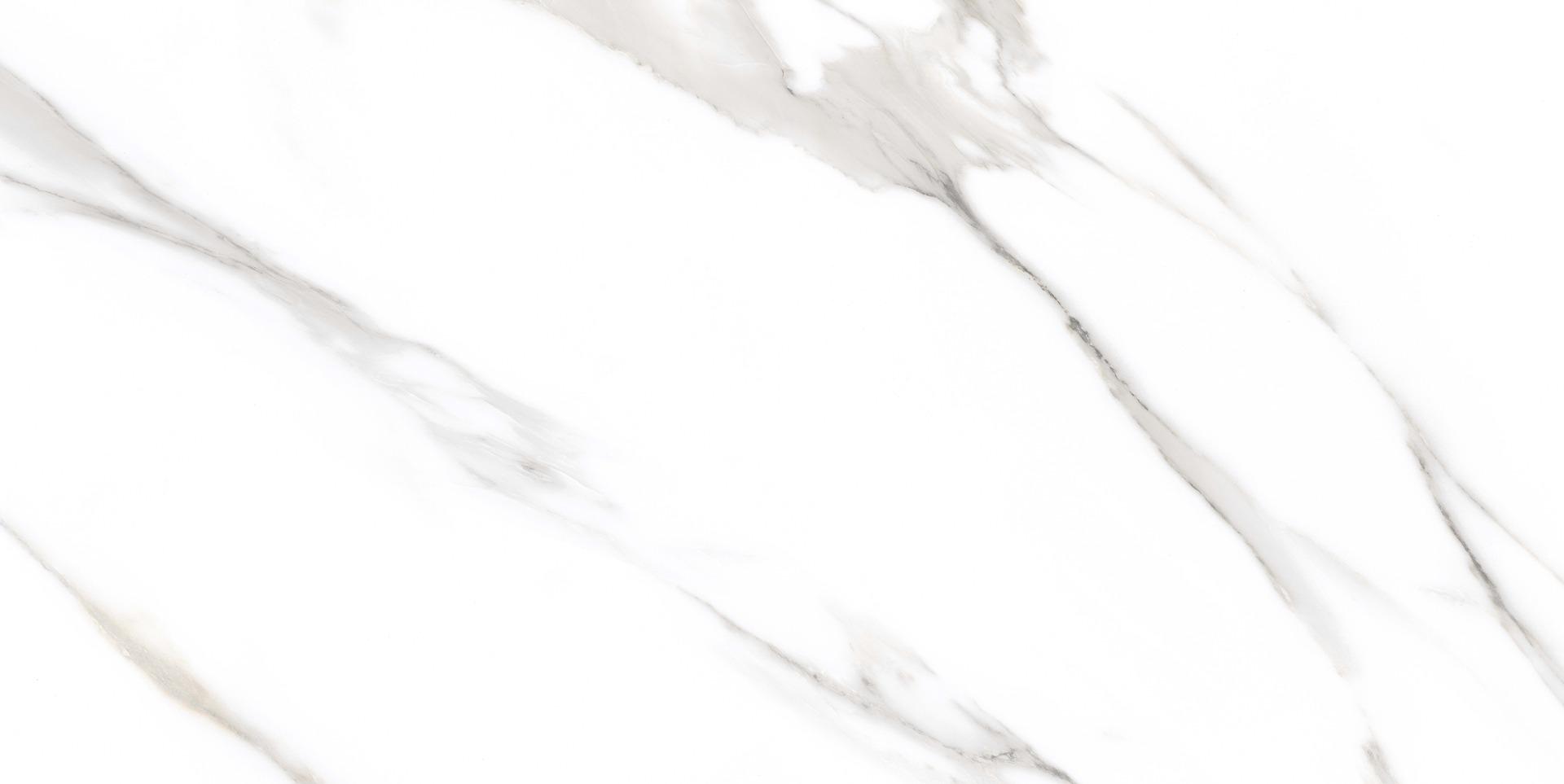 Glossy Finish Carrara Luxe White Gloss Glazed Vitrified Tiles 600x1200 mm