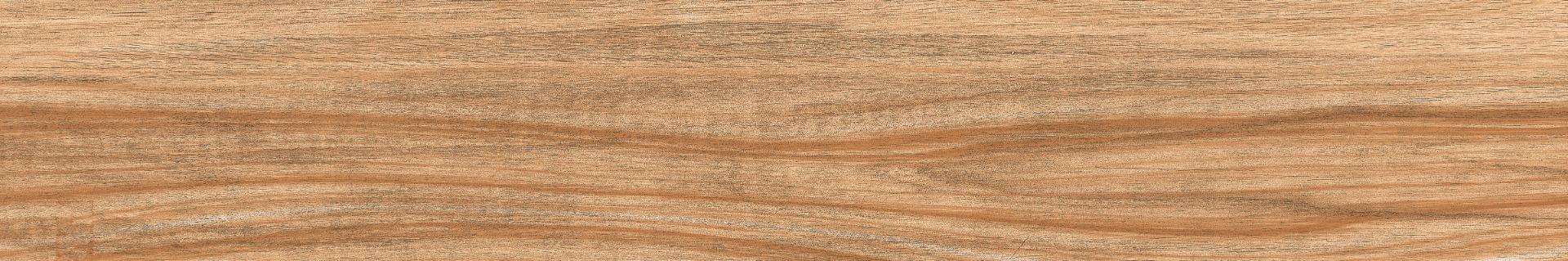 Matte Finish  DGVT Arizon Wood Jumbo Vitrified tile 195x1200 mm