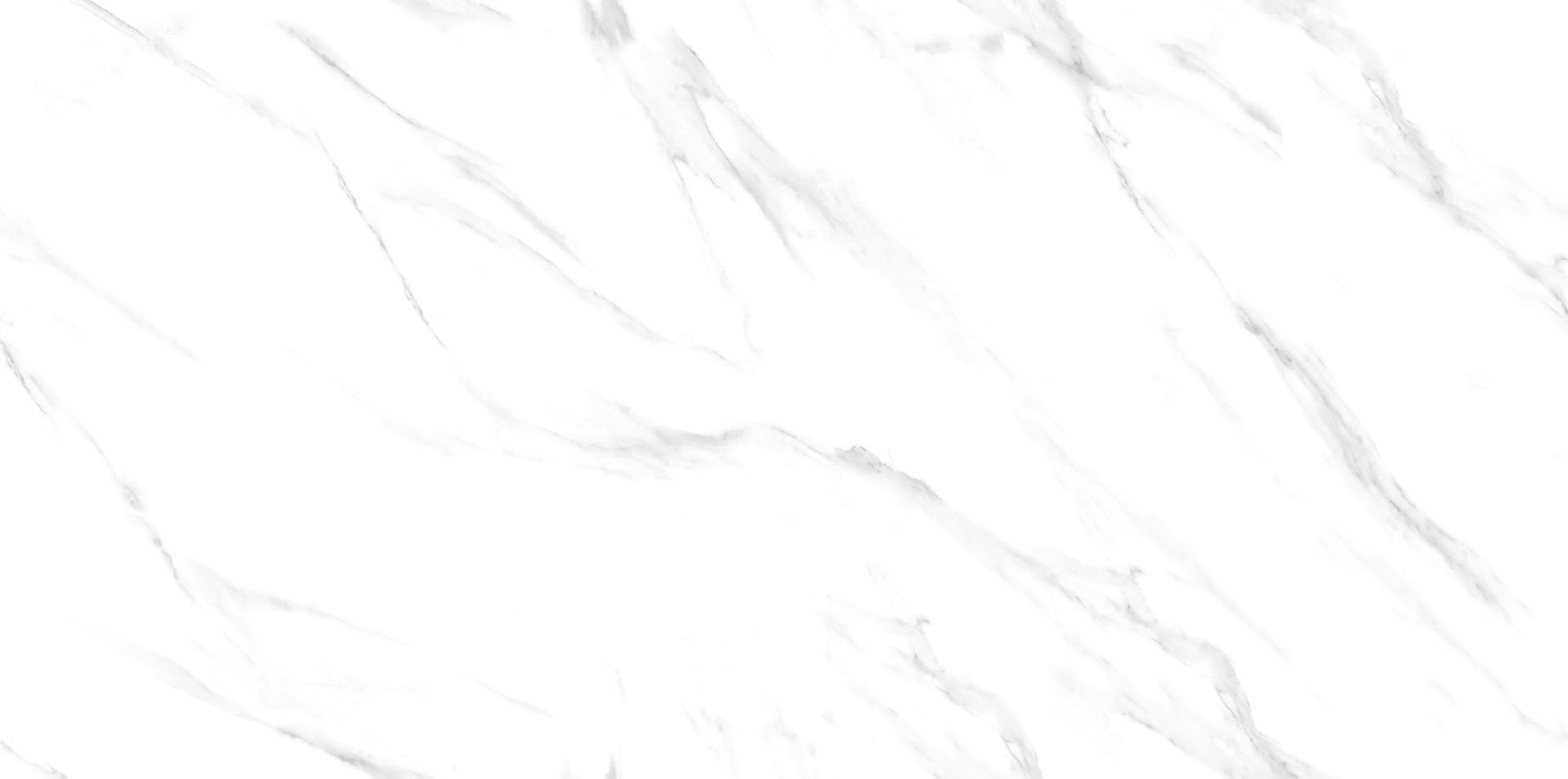 Glossy Finish DR Frost Statuario Trail Endless Gloss Glazed Vitrified Tiles 600x1200 mm