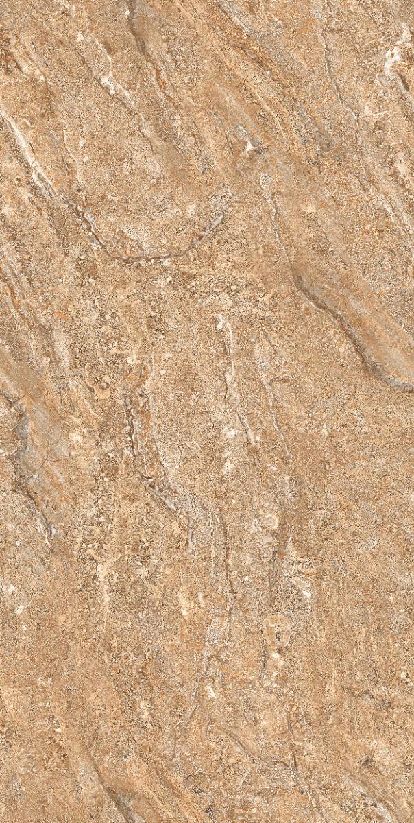 Glossy Finish DR Gloss Endless Royal Dyna Brown Glazed Vitrified Tiles 600x1200 mm