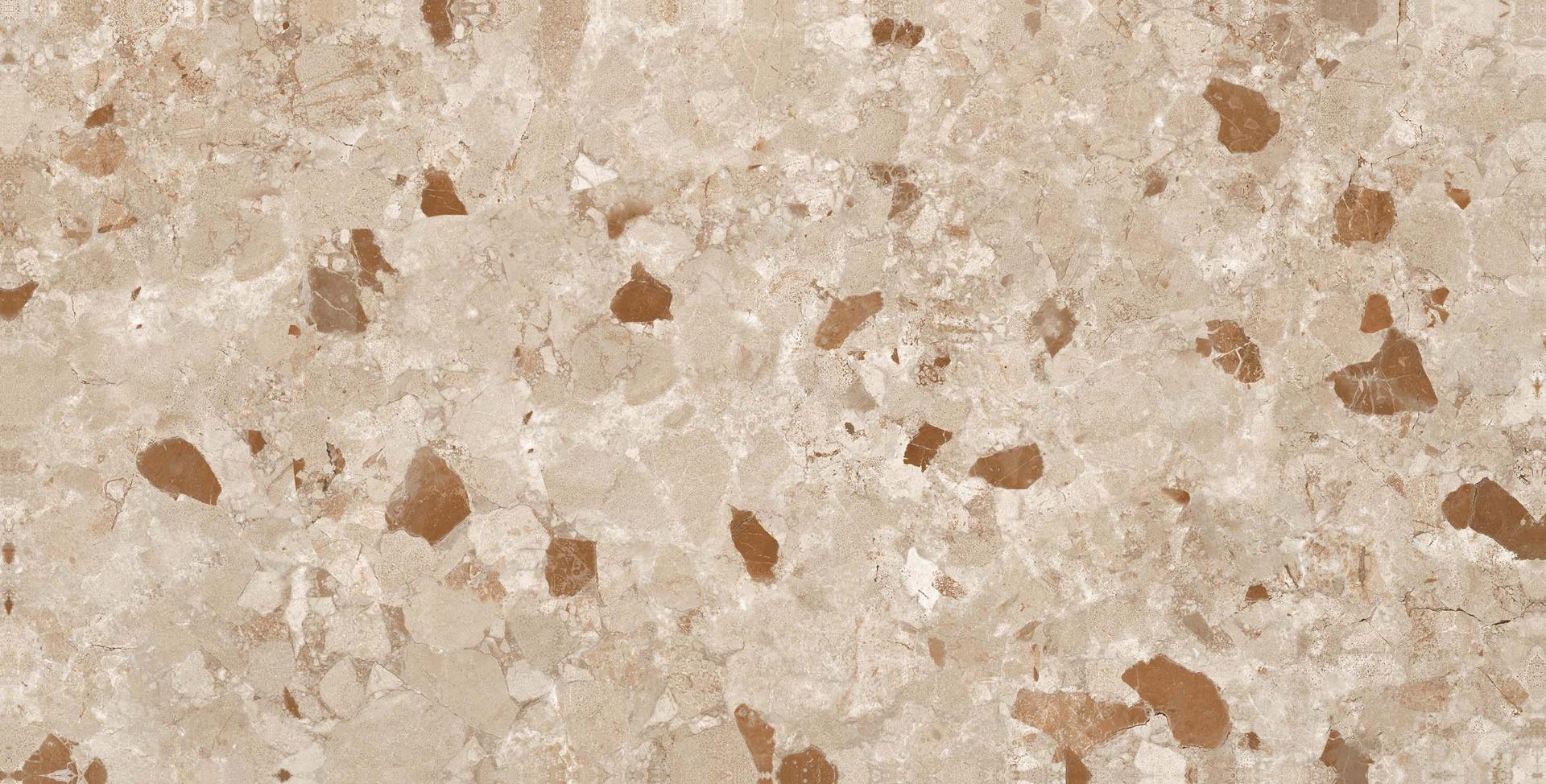 Matte Finish Latte Terrazzo GHR Matte Glazed Vitrified Tiles 600x1200 mm