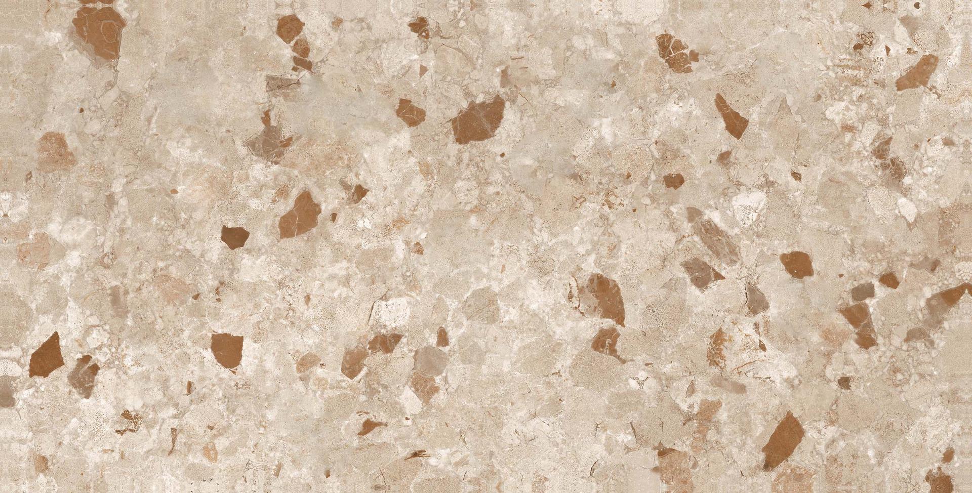 Matte Finish Latte Terrazzo GHR Matte Glazed Vitrified Tiles 600x1200 mm