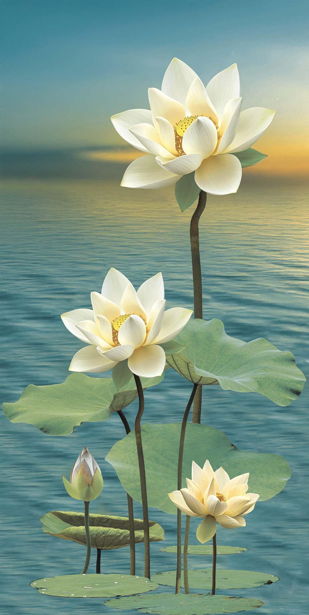 Carving Finish Lotus Aqua Carving Poster Vitrified tile 600x1200 mm