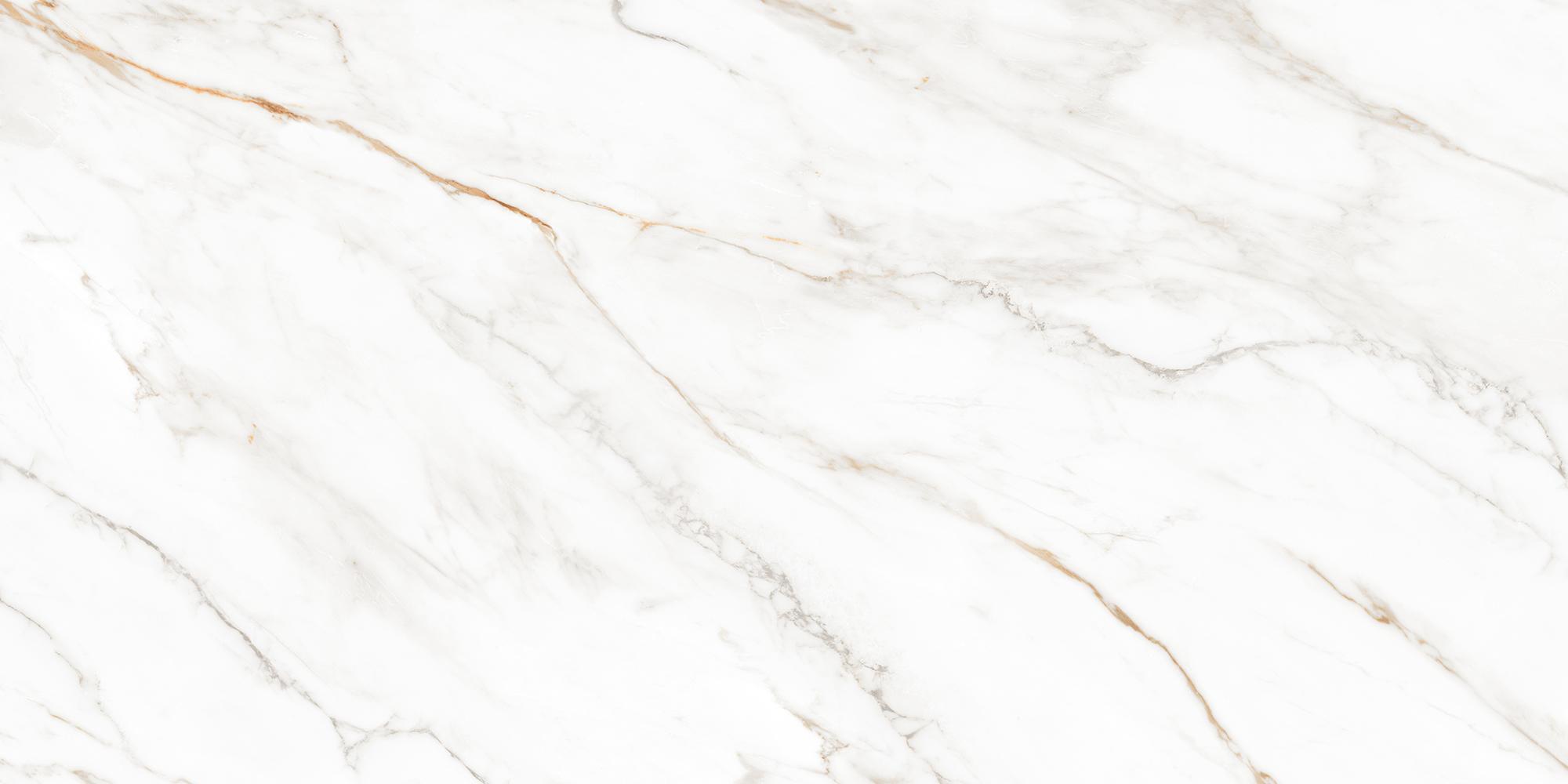 Carving Finish Midnight Lilly Sinker Wallpaper Vitrified tile 600x1200 mm