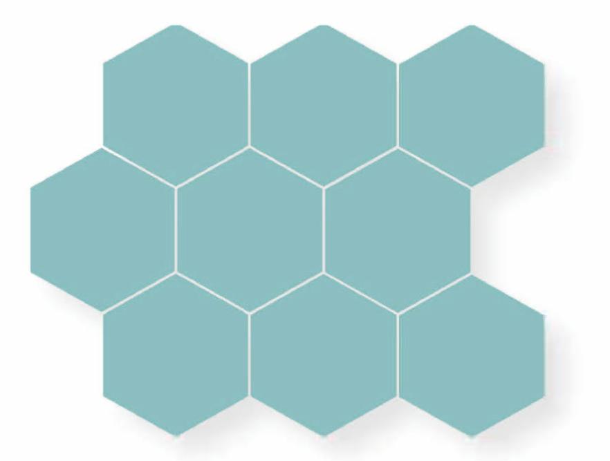 Matte Finish Matte Aqua Hexa Ceramic tile 250x290 mm