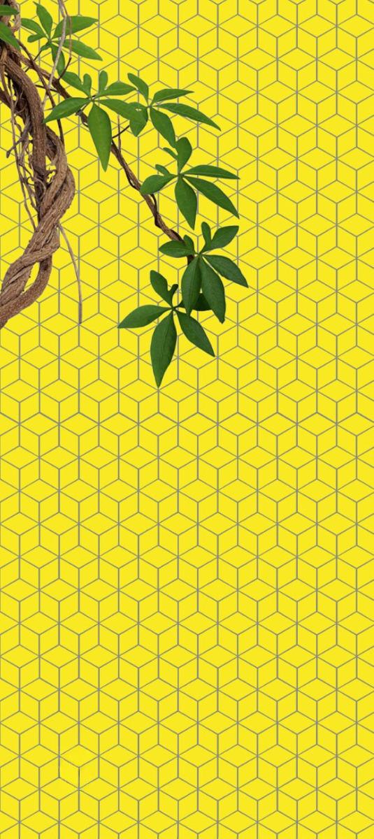 Matte Finish Matte Lemon Cube Ceramic tile 265x310 mm