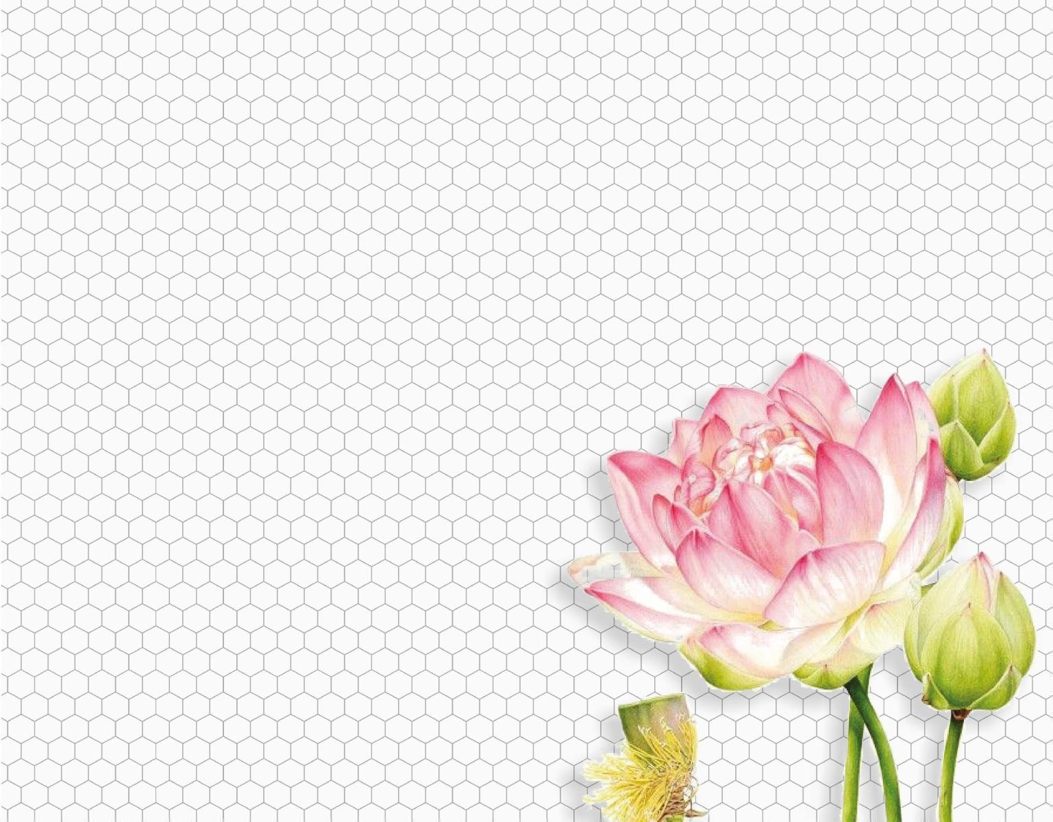 Matte Finish Matte White Mini Hexagon Ceramic tile 255x295 mm