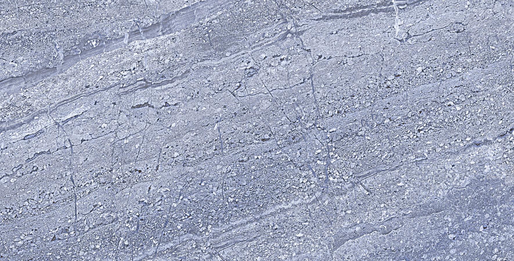 Glossy Finish ODG Bohmia Gris DK Ceramic tile 300x600 mm