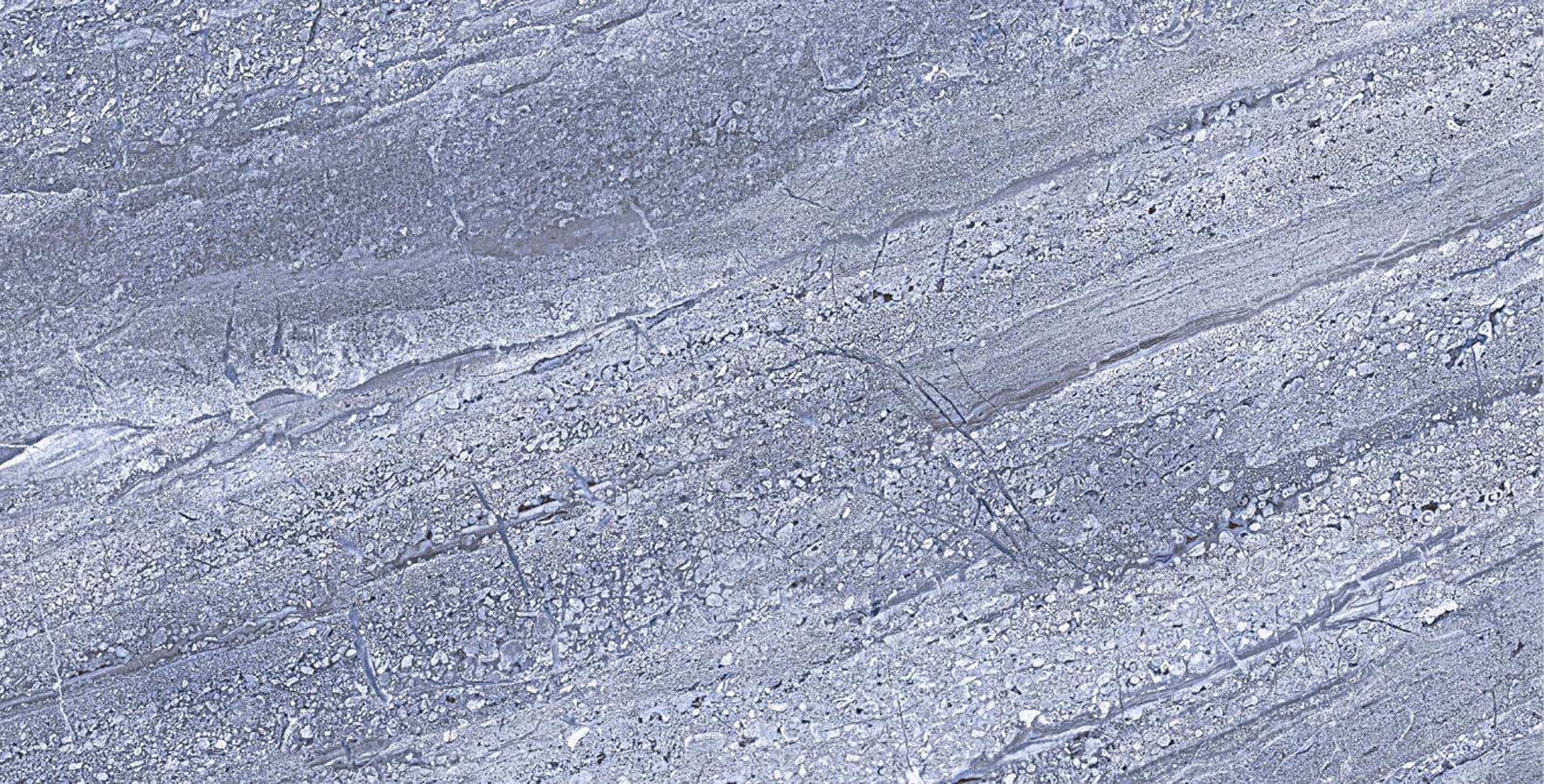 Glossy Finish ODG Bohmia Gris DK Ceramic tile 300x600 mm