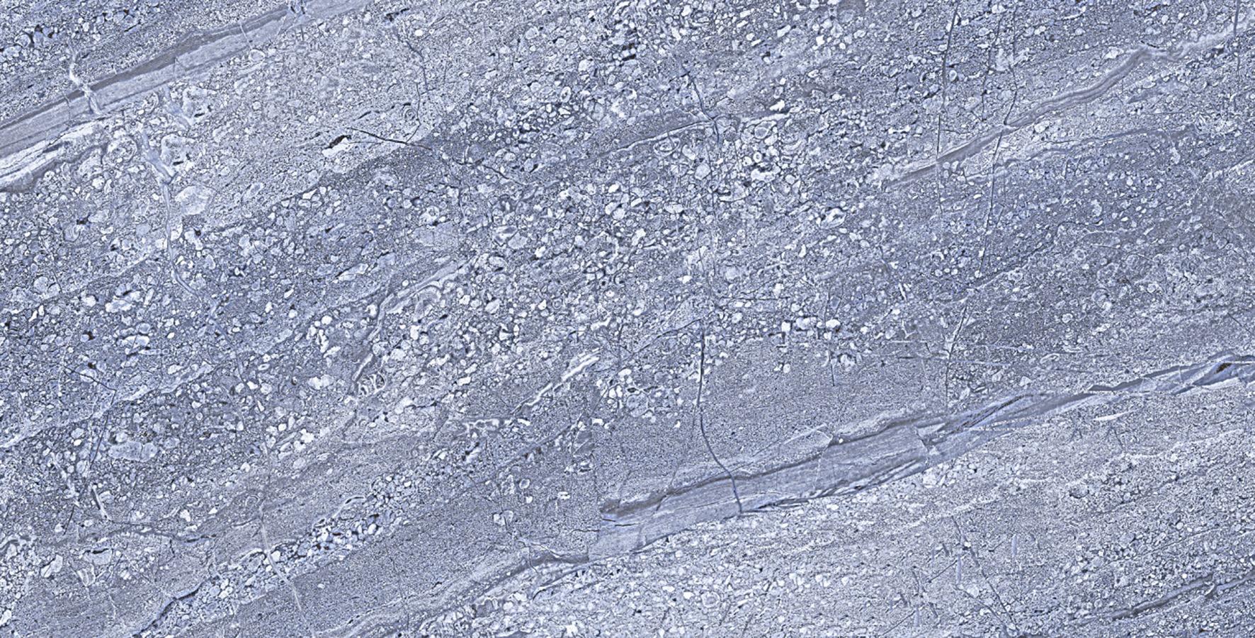 Glossy Finish ODG Bohmia Gris DK Ceramic tile 300x600 mm