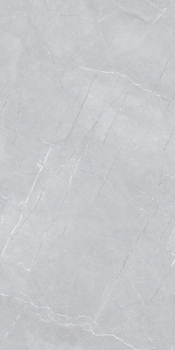 Carving Matte Pewter Pietra Endless Carving Porcelain tile 600x1200 mm