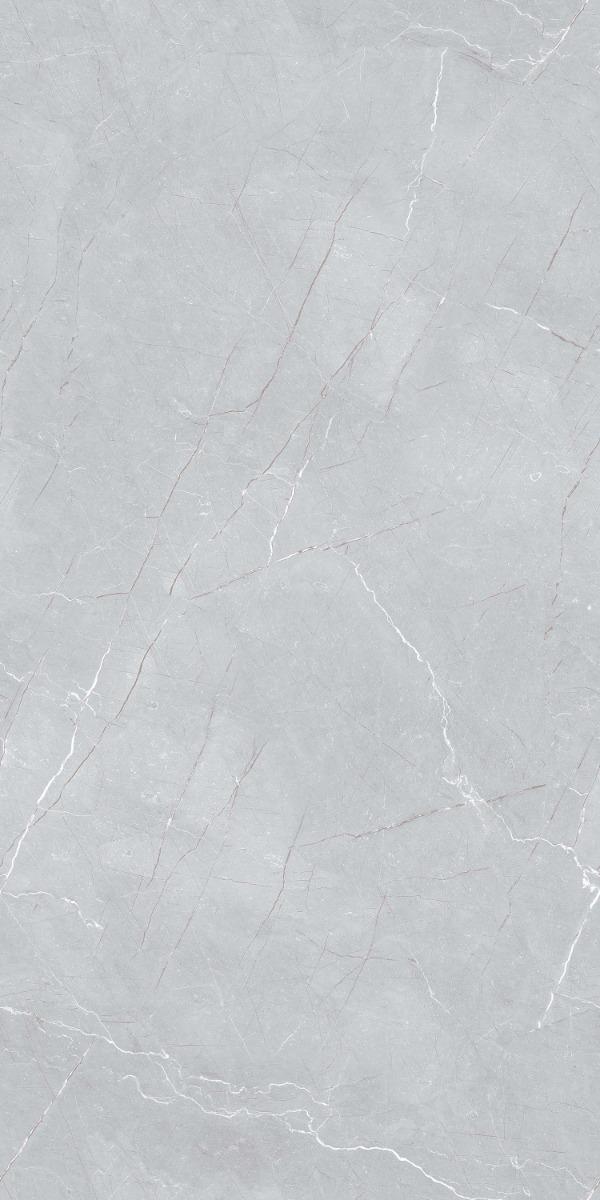 Carving Matte Pewter Pietra Endless Carving Porcelain tile 600x1200 mm