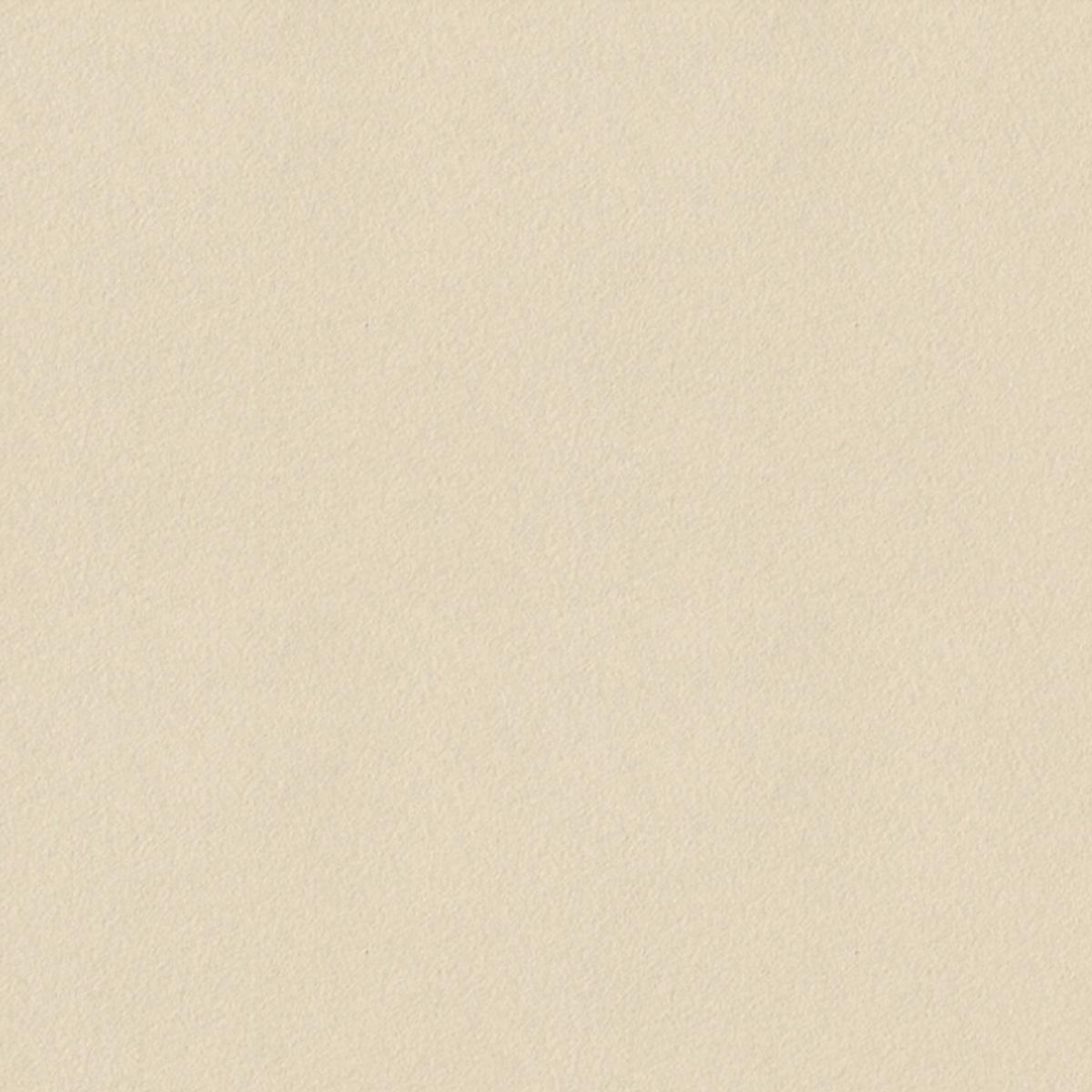 Matte Finish Plus Ivory Plain Vitrified tile 300x300 mm