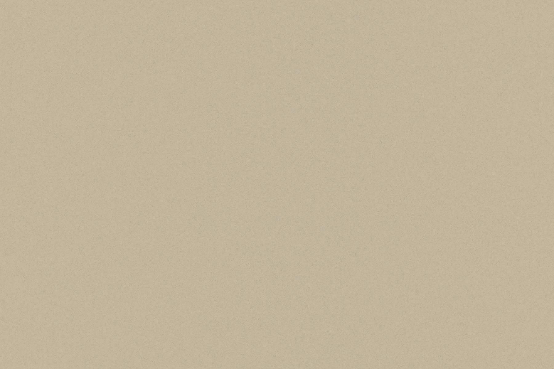  SBG Beige DK Grainy