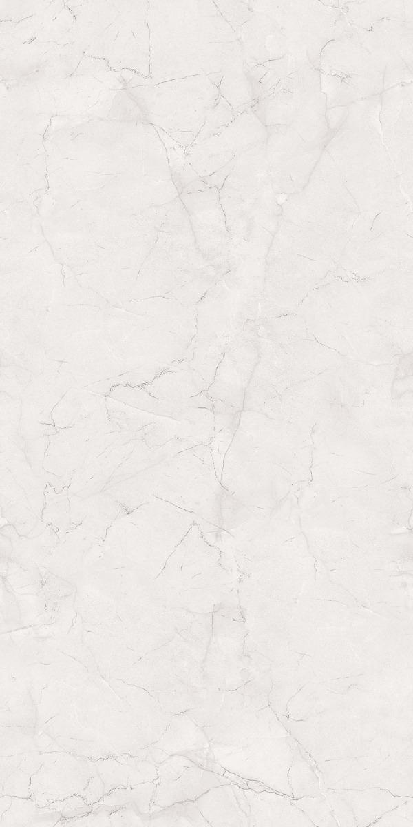 Carving Matte Silver Williams Endless Carving Porcelain tile 600x1200 mm