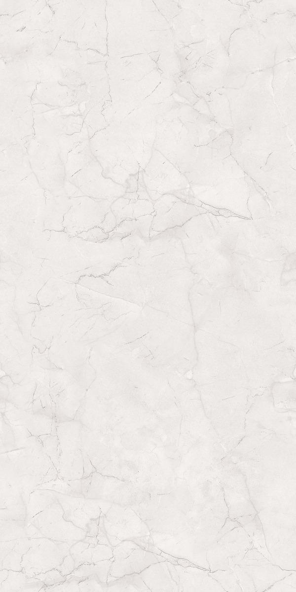 Carving Matte Silver Williams Endless Carving Porcelain tile 600x1200 mm