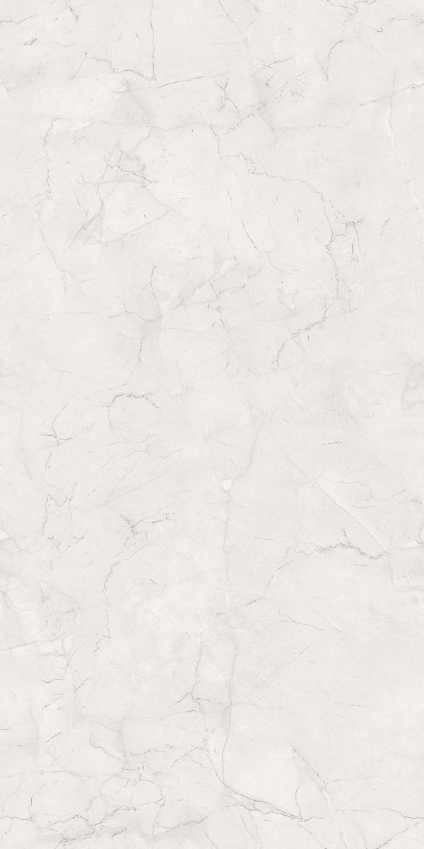 Carving Matte Silver Williams Endless Carving Porcelain tile 600x1200 mm