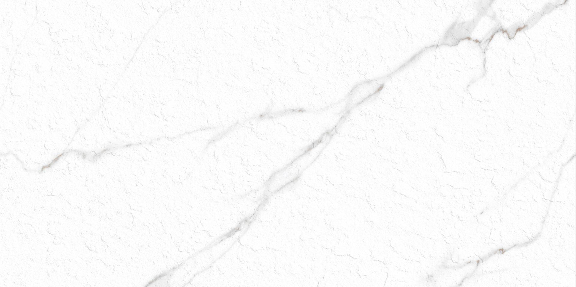 Matte Finish Slate Punch Carla White Porcelain tile 600x1200 mm