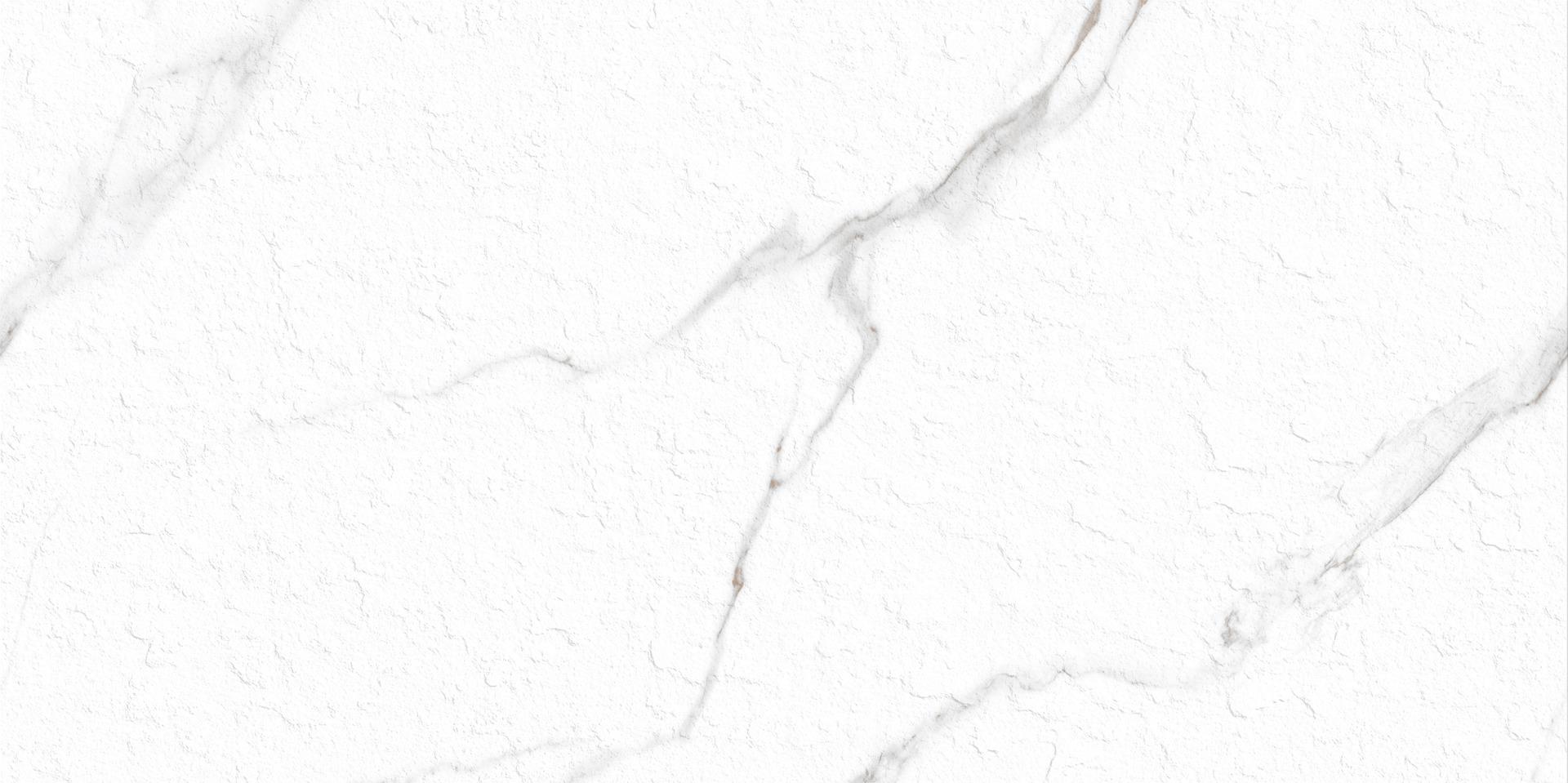 Matte Finish Slate Punch Carla White Porcelain tile 600x1200 mm