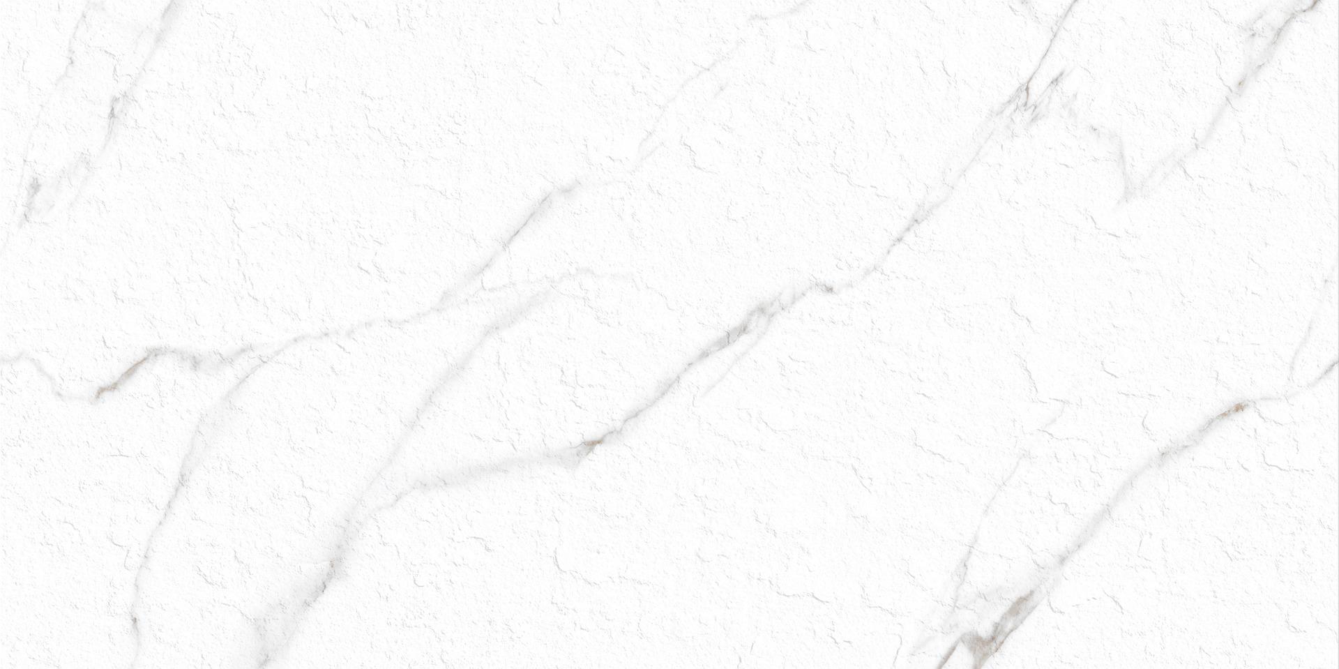 Matte Finish Slate Punch Carla White Porcelain tile 600x1200 mm