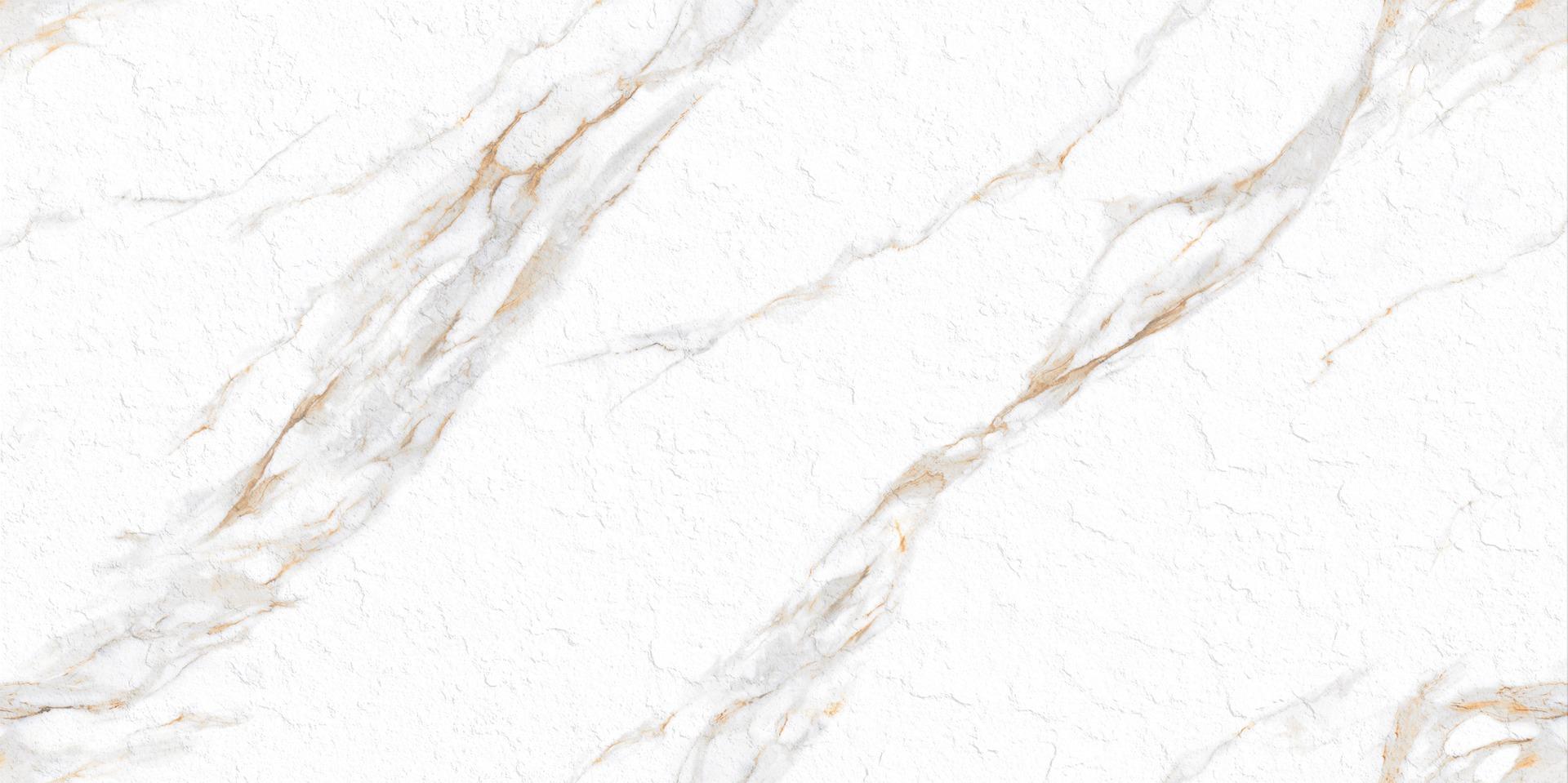 Matte Finish Slate Punch Carrara Polaris Porcelain tile 600x1200 mm