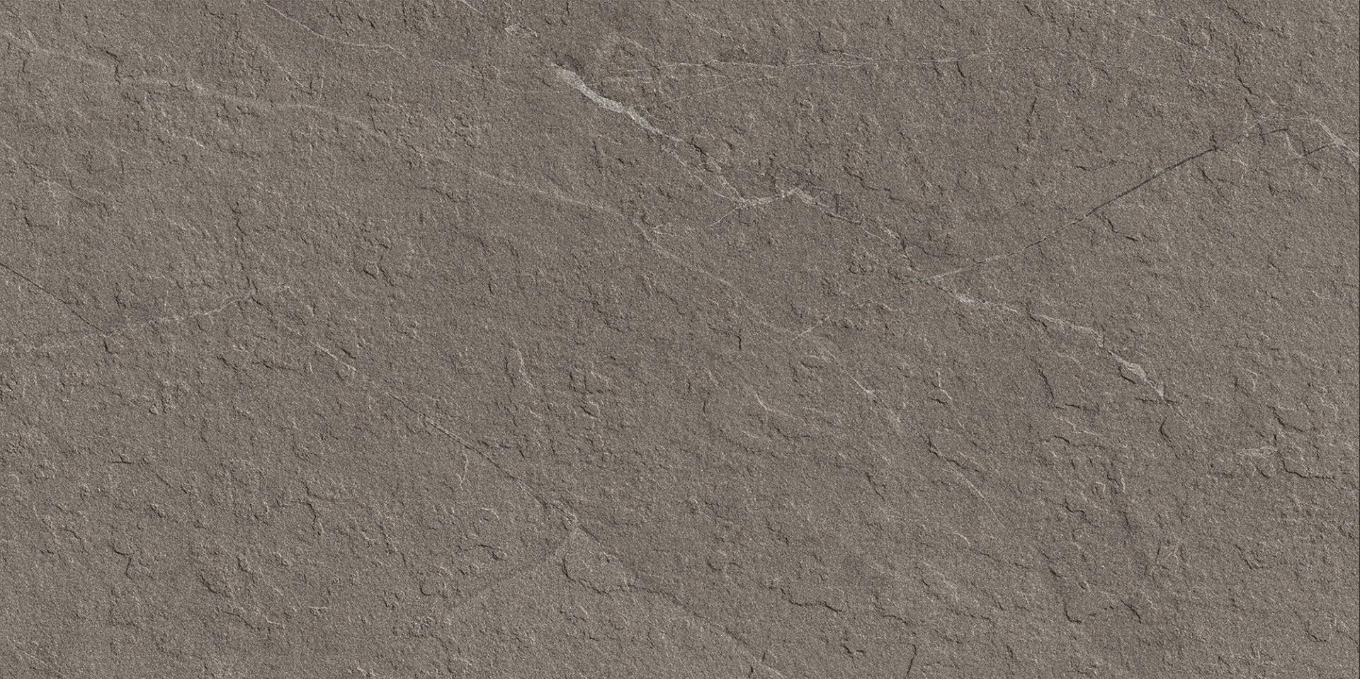Slate Punch Fossil