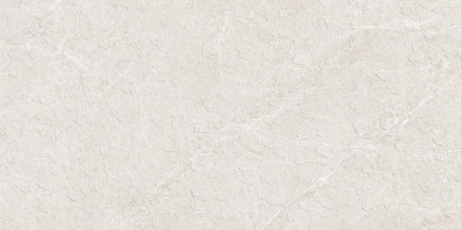 Matte Finish Slate Punch Moon Grey Porcelain tile 600x1200 mm