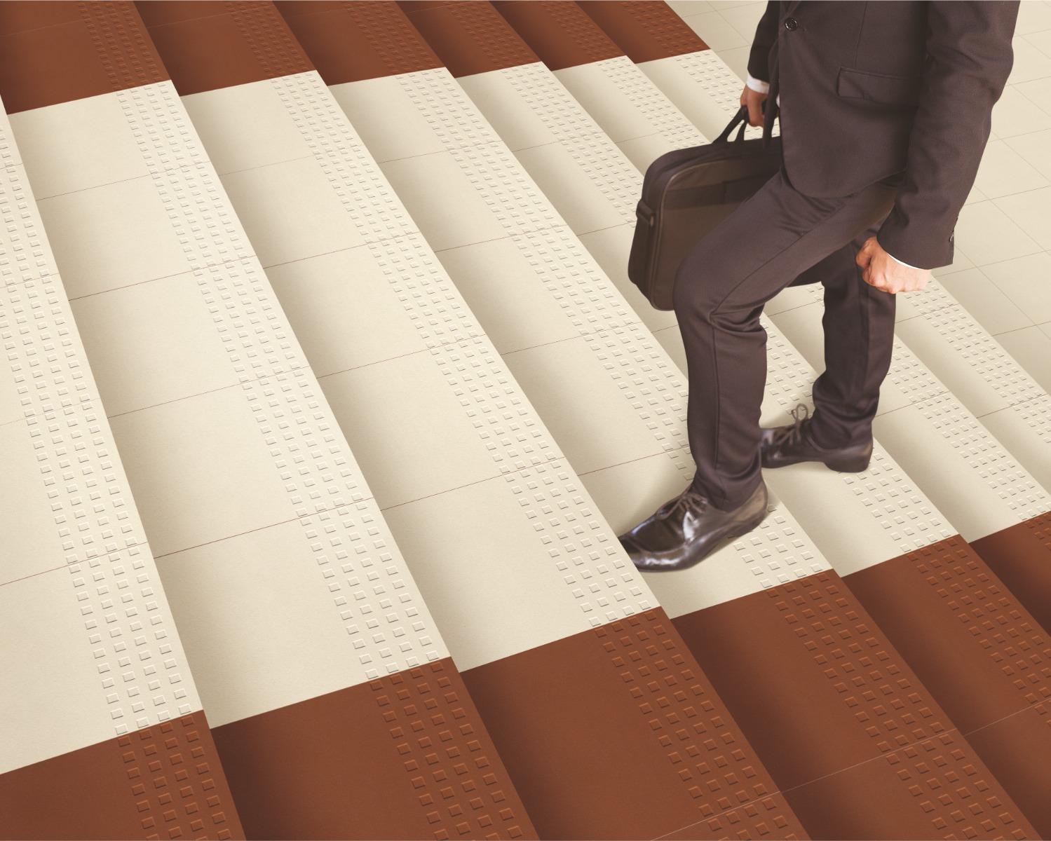 Matte Finish Terracotta Step Mosaic Vitripark Vitrified tile 300x300 mm